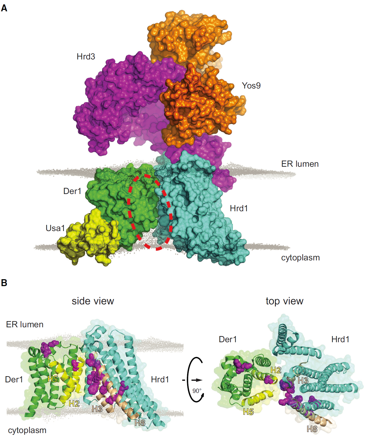 new paper from the group