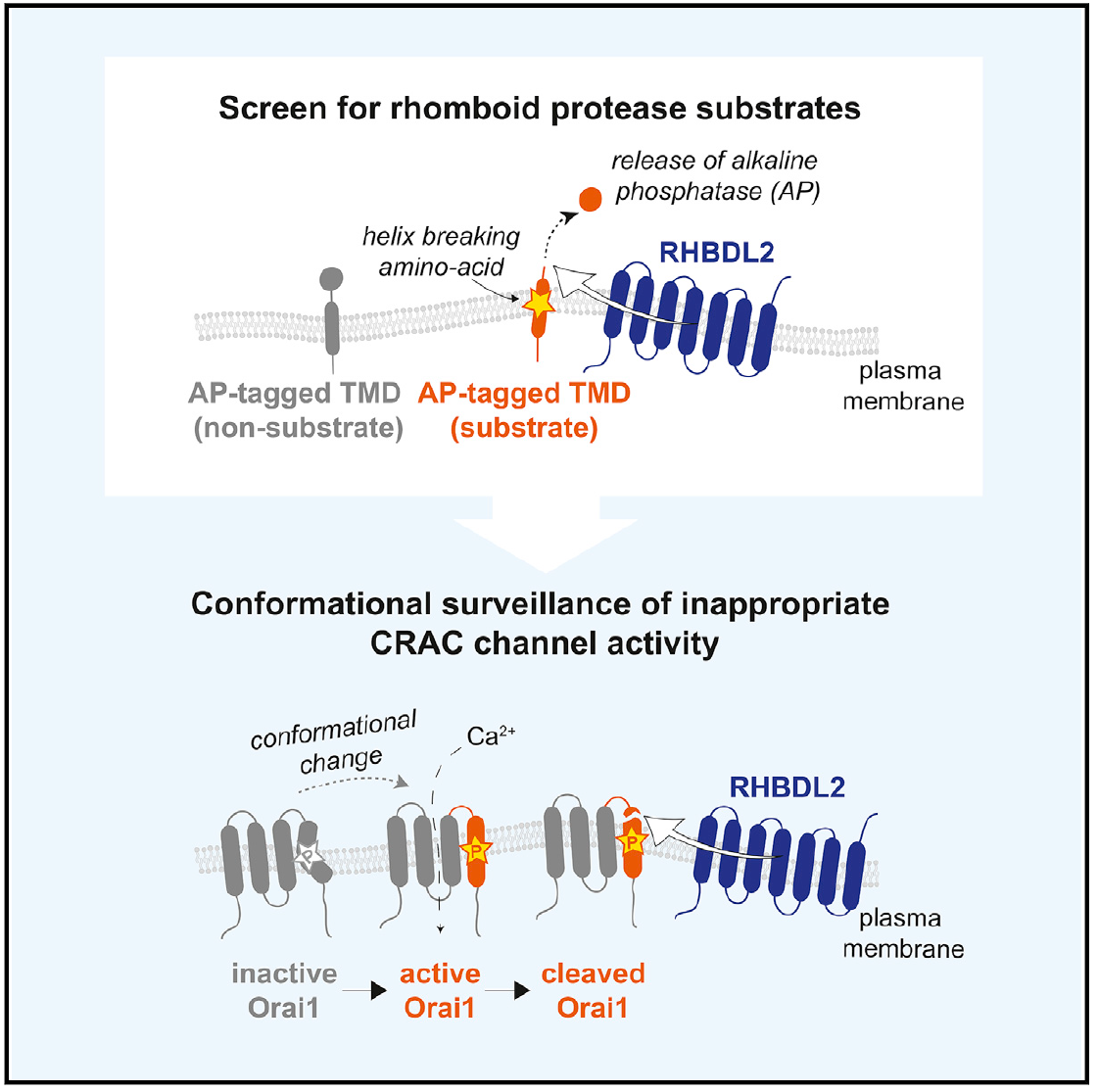 new paper from the group